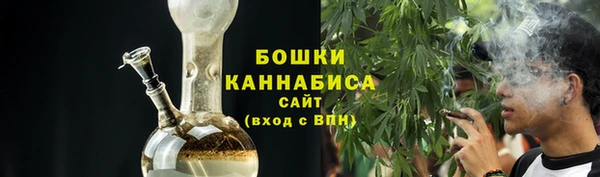 ECSTASY Костерёво