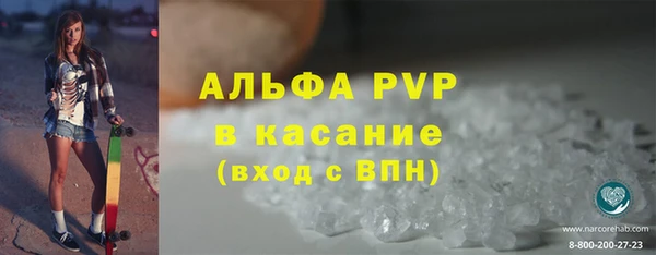 ГАЛЛЮЦИНОГЕННЫЕ ГРИБЫ Корсаков