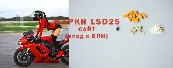 ГАЛЛЮЦИНОГЕННЫЕ ГРИБЫ Корсаков