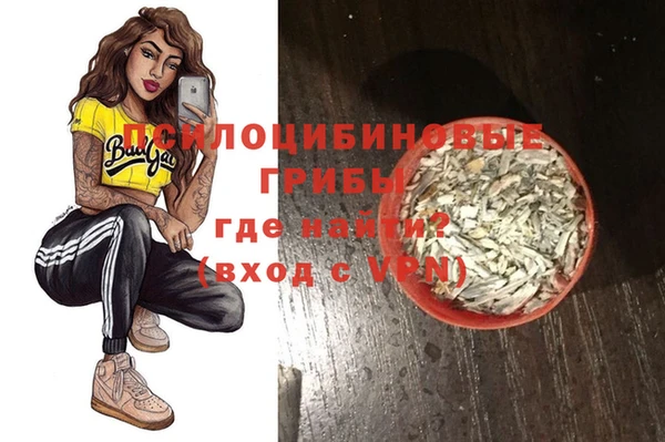 PSILOCYBIN Коряжма
