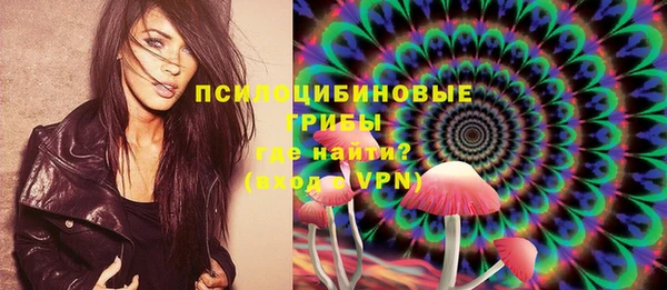 ГАЛЛЮЦИНОГЕННЫЕ ГРИБЫ Корсаков