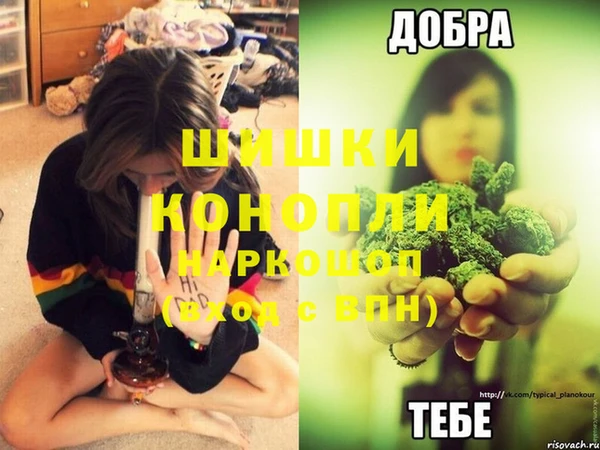 ГАЛЛЮЦИНОГЕННЫЕ ГРИБЫ Корсаков