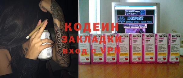 ГАЛЛЮЦИНОГЕННЫЕ ГРИБЫ Корсаков
