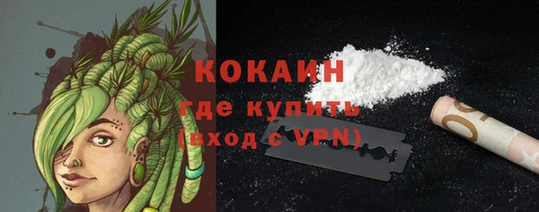 PSILOCYBIN Коряжма