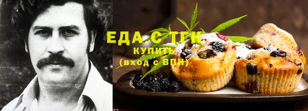 ГАЛЛЮЦИНОГЕННЫЕ ГРИБЫ Корсаков