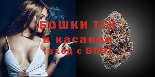 PSILOCYBIN Коряжма